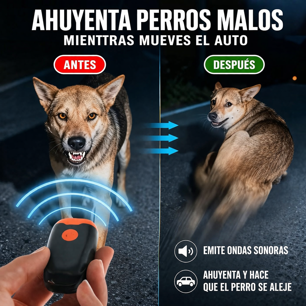 SafeWalk™  Camina tranquilo